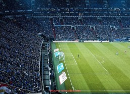 秘饭直播-勇士队对战火箭队全场视频录像一览